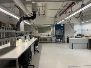 Loop Lab 2
