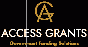 Access Grants Top White Gold Transparent