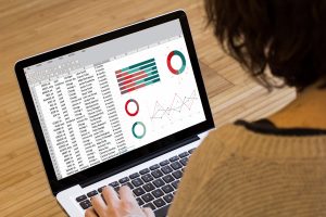 Woman Computer Spreadsheet